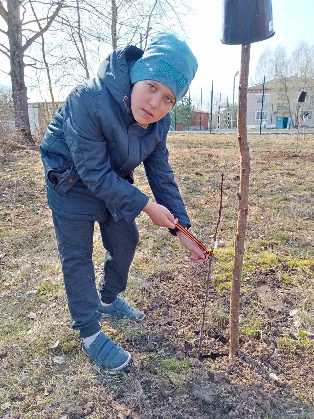 Международная акция "Сад Памяти"в Афанасьевском  сельском поселении