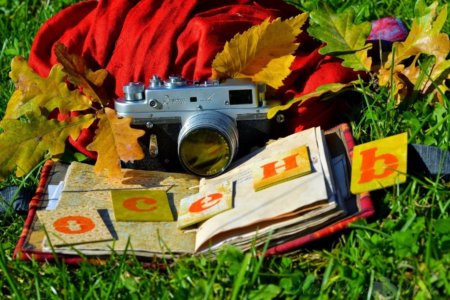 Положение об Открытом районном дистанционном фотоконкурсе "Осенние краски нашего края"