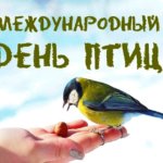 Международный день птиц в клубе с. Афанасьевское