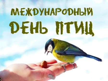 Международный день птиц в клубе с. Афанасьевское