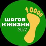 Шуйский муниципальный район присоединился к Всероссийской акции «10 000 шагов к жизни»