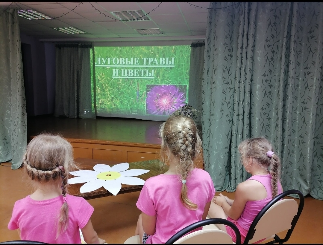 Тематический час "Полевые и луговые цветы" в Милюковском ДК